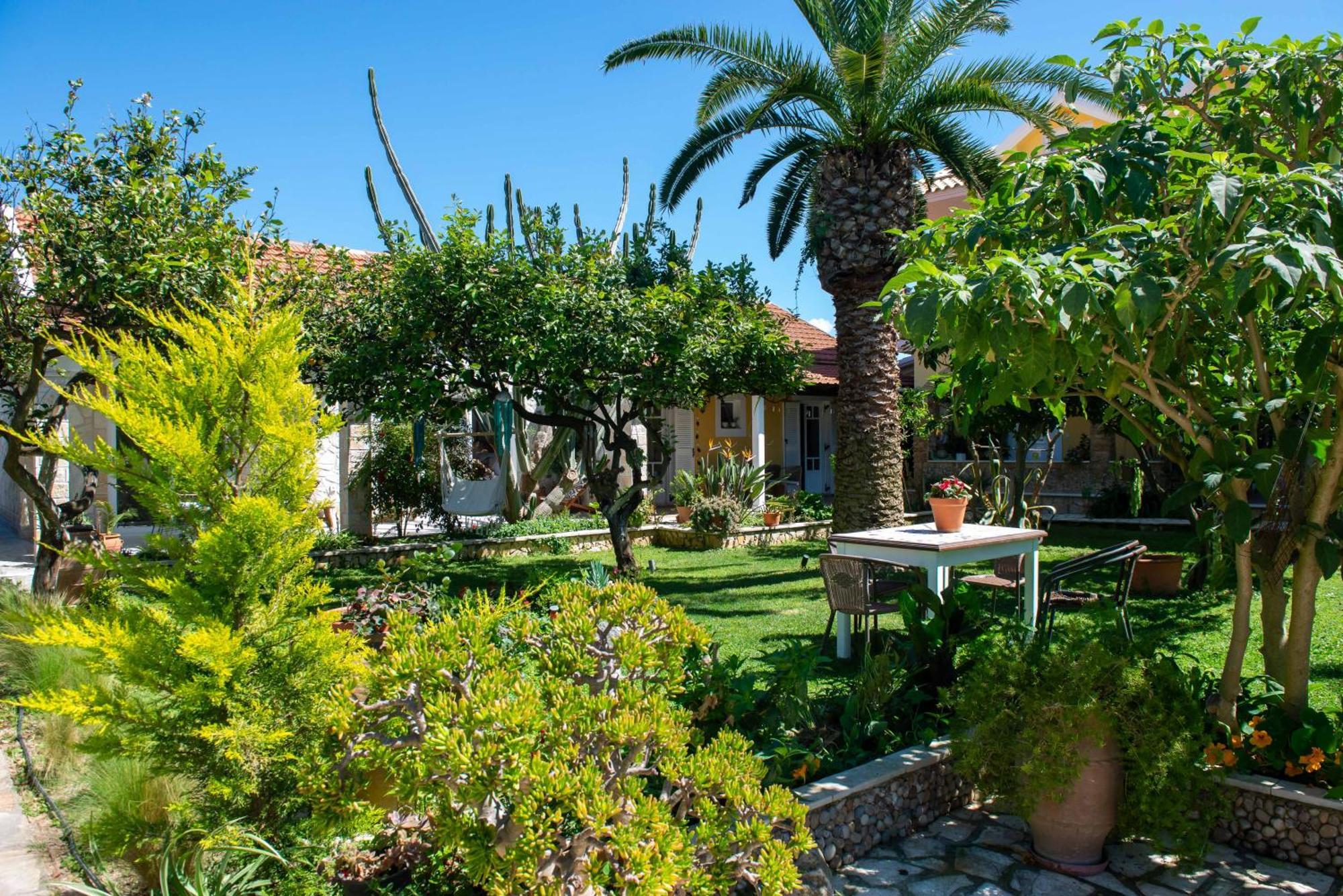 ארילס Alex Studios & Apartments מראה חיצוני תמונה