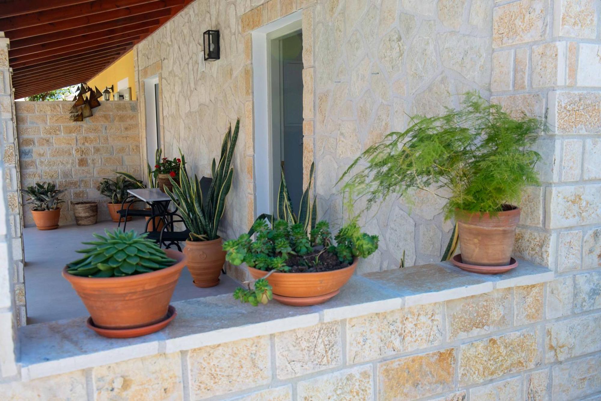ארילס Alex Studios & Apartments מראה חיצוני תמונה