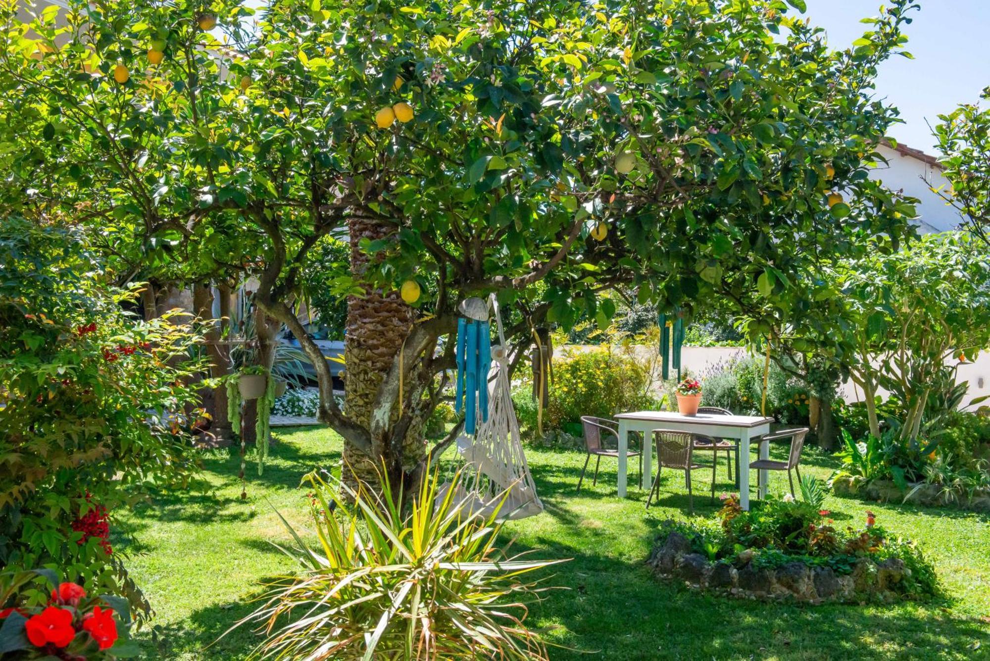 ארילס Alex Studios & Apartments מראה חיצוני תמונה